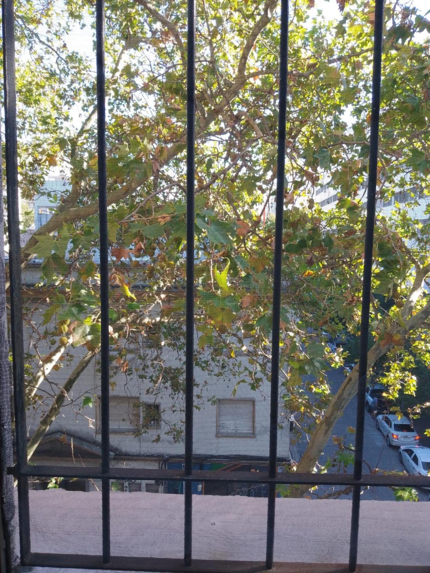 Montevideo Hostel Montevideu Exterior foto